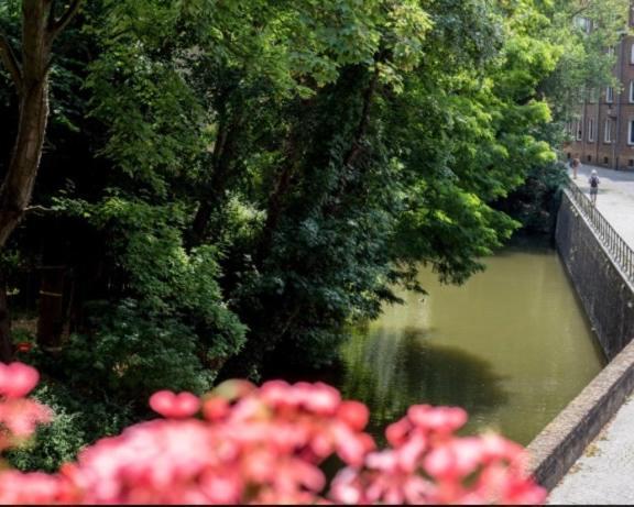 Hotel Entree - Canal View บรูจส์ ภายนอก รูปภาพ